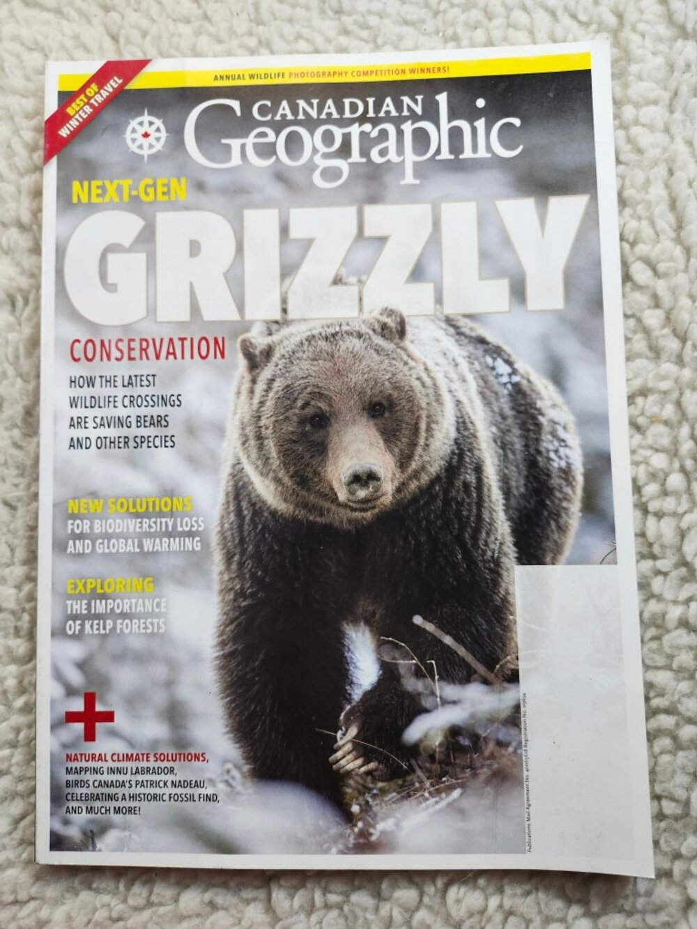 Canadian Geographic Magazine Nov/Dec 2021 Grizzly Conservation Special